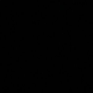 Meet your Posher, Jillian